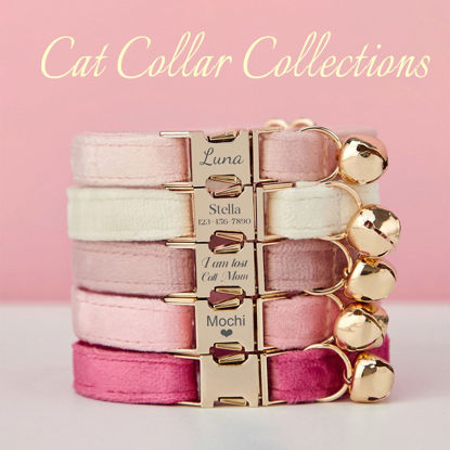 Image de Ensemble de collier de chat personnalisé avec nom - Collier de chat en velours multicolore personnalisé - Étiquette de nom d'animal de compagnie gravée avec boucle en métal - Cadeau de mariage et de Noël pour chiot