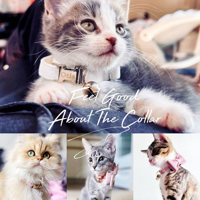Picture of Personalized Cat Name Collar Set- Custom Multiple Color Velvet Cat Collar - Engraved Pet Name Tag Metal Buckle - Wedding and Christmas Puppy Gift