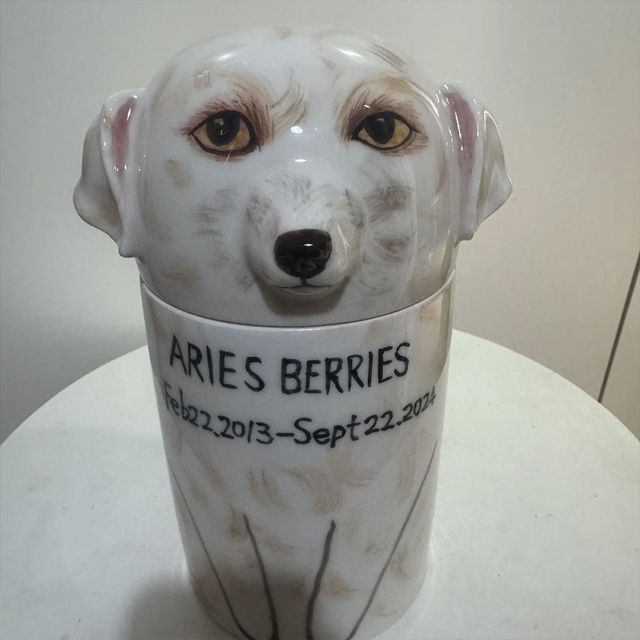 Picture of Custom Handmade Dog Ceramic Urn - Personalised Pet Urn - Pet Ornaments