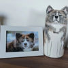 Picture of Custom Handmade Dog Ceramic Urn - Personalised Pet Urn - Pet Ornaments