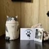 Picture of Custom Handmade Cat Ceramic Urn - Personalised Pet Urn - Pet Ornaments