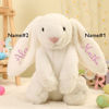 Picture of Custom Embroidered Security Fluffy Bunny Rabbit with Name - Personalized Comfort Rabbit for Kids Gift - Baby Shower Gift