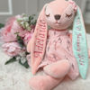 Picture of Custom Embroidered Stuffed Bunny Rabbit with Name - Personalized Comfort Rabbit for Kids - Baby Shower Gift