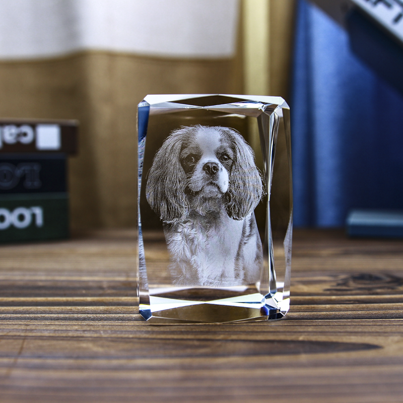 Picture of Custom Photo 3D Laser Crystal Portrait