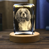 Picture of Custom Photo 3D Laser Crystal Portrait