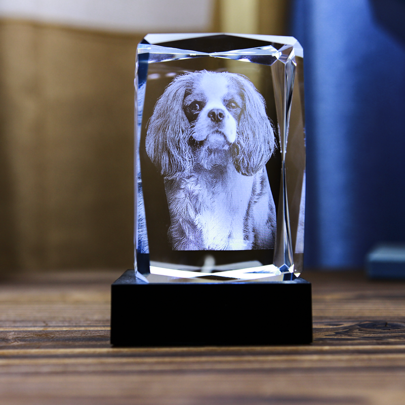 Picture of Custom Photo 3D Laser Crystal Portrait