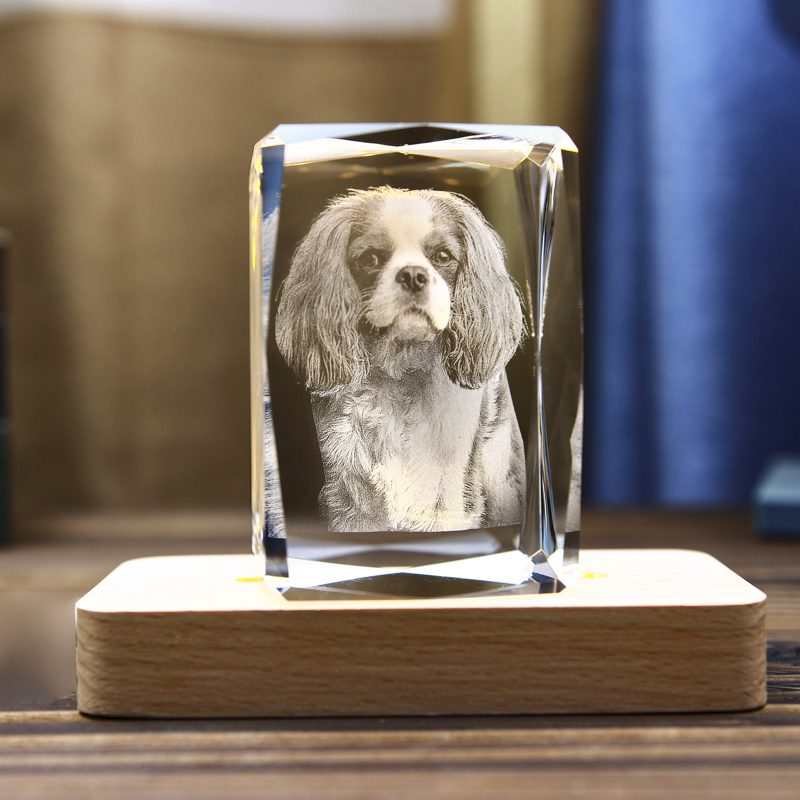 Picture of Custom Photo 3D Laser Crystal Portrait