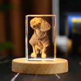 Picture of Custom Photo 3D Laser Crystal  Portrait Straight Line