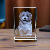 Picture of Custom Photo 3D Laser Crystal  Portrait Straight Line