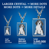 Picture of Personalized 2D or 3D Crystal Photo Necklace Gift in Rectangle with Rounded Corners
