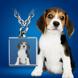 Picture of Personalized 2D or 3D Crystal Photo Necklace Gift in Square