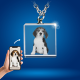 Picture of Personalized 2D or 3D Crystal Photo Necklace Gift in Square