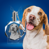 Picture of Personalized 2D or 3D Crystal Photo Keychain Gift in Octagon
