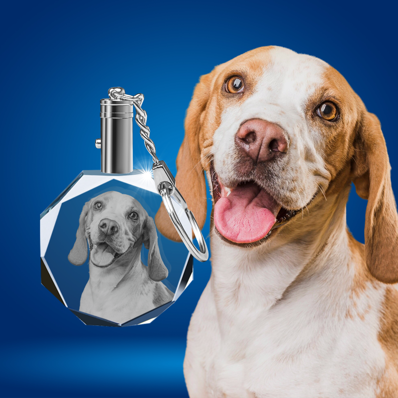 Picture of Personalized 2D or 3D Crystal Photo Keychain Gift in Octagon
