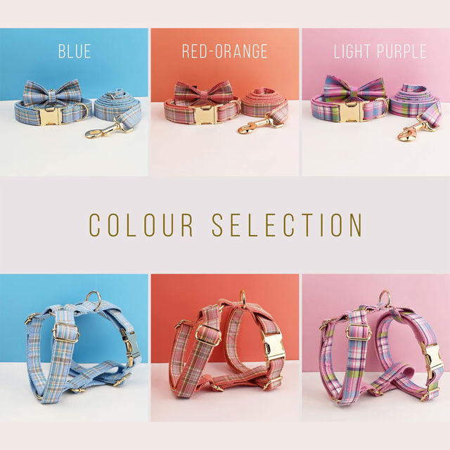 Picture of Personalized Pet Name Collar - 7 Color Grid Series - Engraved Pet Name Square Tag - Gift for Pets