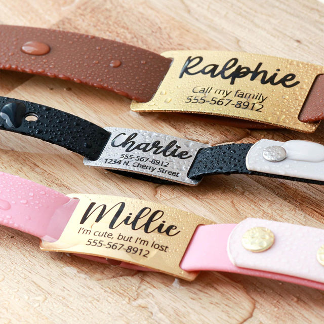 Picture of Custom Slide On Dog & Cat Collar Tag - Personalized Stainless Steel Pet Name Tag with Owner Information