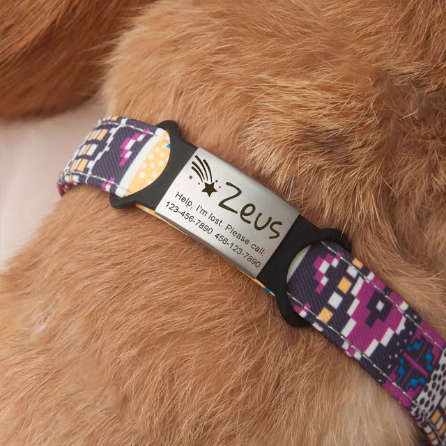 Picture of Custom Lasered Silver Slide On Dog & Cat Collar Name Tag - Personalized Soundless Pet Name Tag with Owner Information