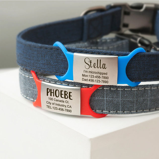 Picture of Custom Lasered Silver Slide On Dog & Cat Collar Name Tag - Personalized Soundless Pet Name Tag with Owner Information