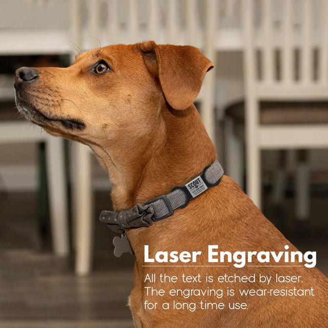 Picture of Custom Lasered Silver Slide On Dog & Cat Collar Name Tag - Personalized Soundless Pet Name Tag with Owner Information