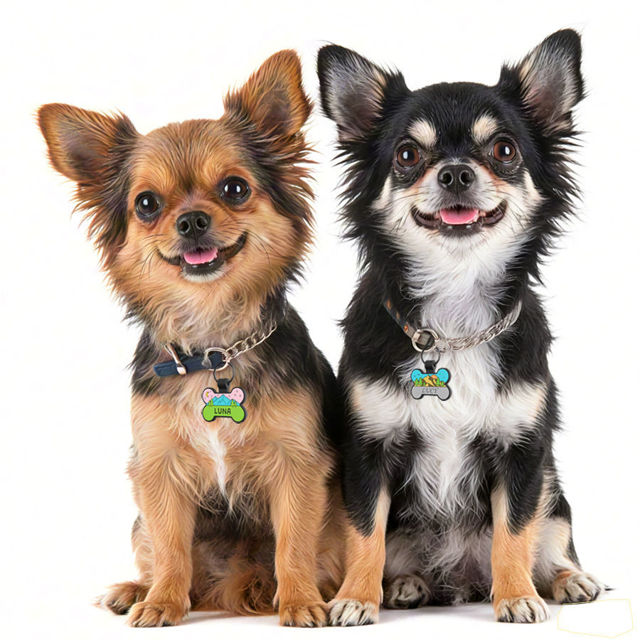 Picture of Custom Soundless Silicone Dog & Cat Name Tag - Personalized Bone Shaped Pet ID Tag with Engraved Owner Information