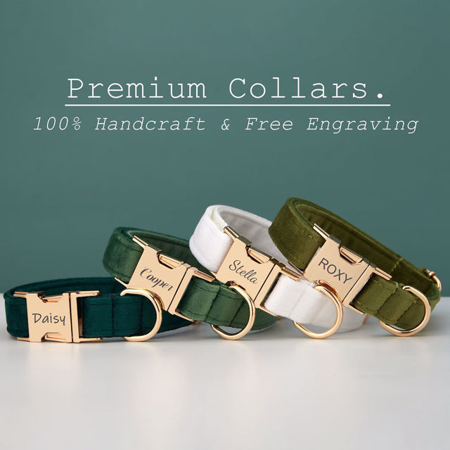 Picture of Personalized Pet Name Collar - Custom Multiple Color Velvet Dog Collar - Engraved Pet Name Tag Metal Buckle - Wedding and Christmas Puppy Gift