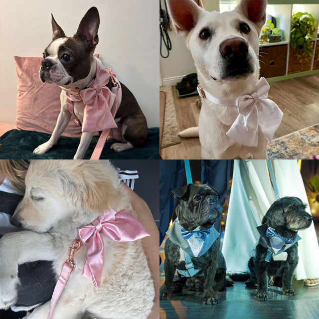 Picture of Personalized Dog Collar and Leash Set with Sailor Bow Tie - Handmade Wedding Dog Collar Gift