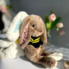 Picture of Customized Rabbit Toy - Custom Embroidered Name Plush Rabbit - Personalized Comfort Rabbit for Kids Gift