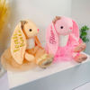 Picture of Custom Bunny Toys - Custom Name Plush Toys - Custom Ballerina Bunny