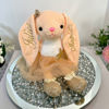Picture of Custom Bunny Toys - Custom Name Plush Toys - Custom Ballerina Bunny