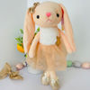 Picture of Custom Bunny Toys - Custom Name Plush Toys - Custom Ballerina Bunny