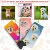 Picture of Custom Gradient Color Socks - Custom Photo Socks