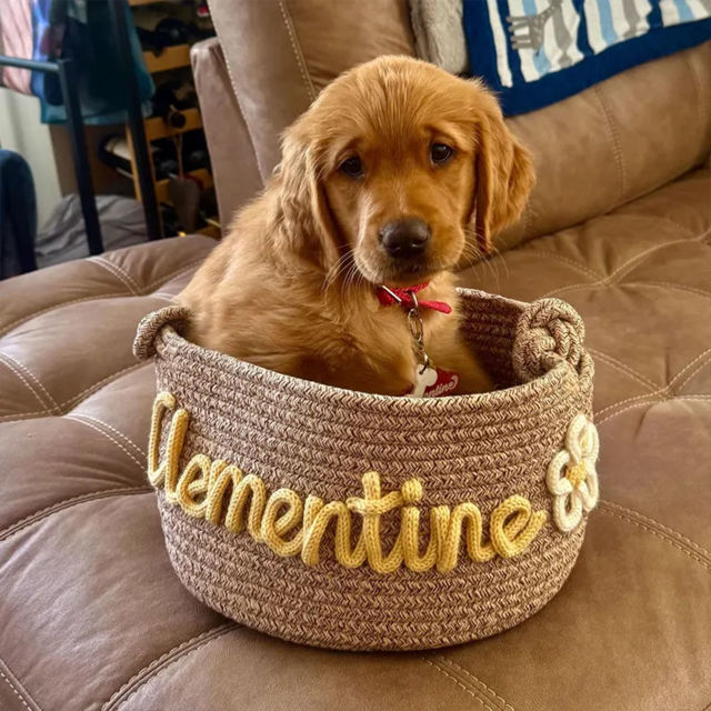 Picture of Custom Pet Toy Basket - Custom Embroidered Name Dog/Cat Toy Box - New Puppy Gift
