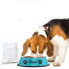 Picture of Custom Stainless Steel Pet bowls with Name - Personalized Water Bowls for Pets - Best Gift for Pet Person