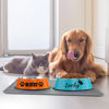Picture of Custom Stainless Steel Pet bowls with Name - Personalized Water Bowls for Pets - Best Gift for Pet Person