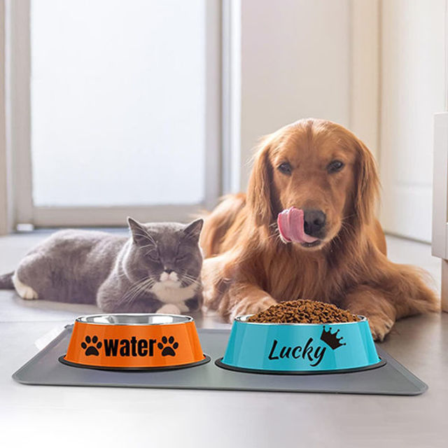 Picture of Custom Stainless Steel Pet bowls with Name - Personalized Water Bowls for Pets - Best Gift for Pet Person