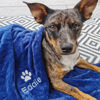 Picture of Personalized Embroidered Flannel Blanket for Pet - Custom Pet Blanket with Embroidered Name - Gift for Pet Person