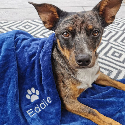Picture of Personalized Embroidered Flannel Blanket for Pet - Custom Pet Blanket with Embroidered Name - Gift for Pet Person