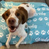 Picture of Personalized Flannel Blanket for Pet - Custom Pet Nap Blanket with Name - Gift for Pet Person
