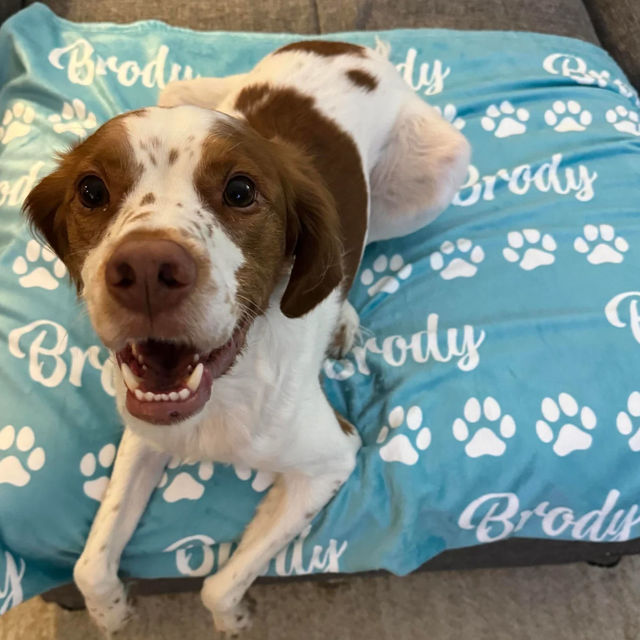 Picture of Personalized Flannel Blanket for Pet - Custom Pet Nap Blanket with Name - Gift for Pet Person