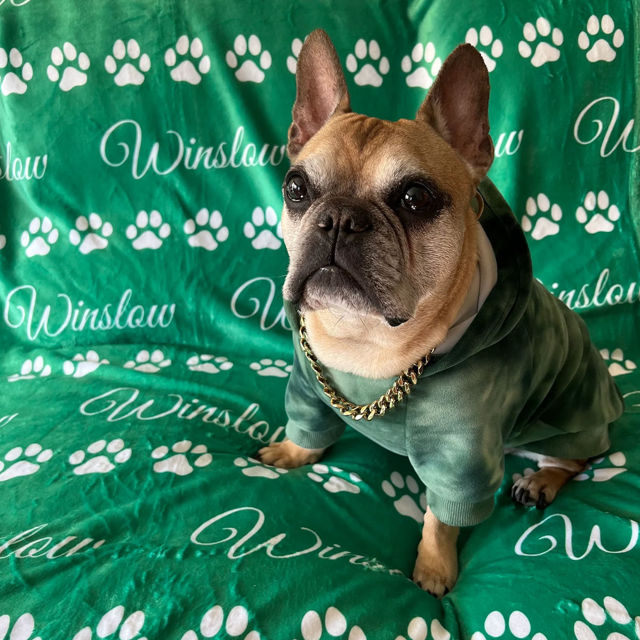 Picture of Personalized Flannel Blanket for Pet - Custom Pet Nap Blanket with Name - Gift for Pet Person
