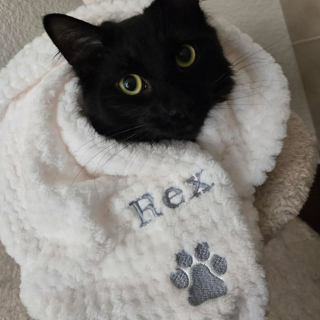 Picture of Custom Embroidered Flannel Blanket for Pets - Custom Dog or Cat Nap Blanket with Name