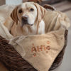 Picture of Custom Embroidered Flannel Blanket for Pets - Custom Dog or Cat Nap Blanket with Name