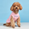 Picture of Custom Embroidered Pet Clothing - Personalized Dog and Cat Coat with Embroidered Name