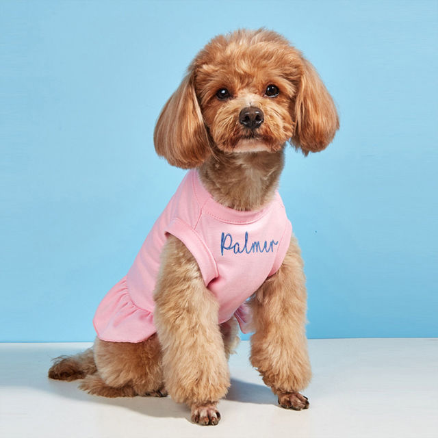 Picture of Custom Embroidered Pet Clothing - Personalized Dog and Cat Coat with Embroidered Name