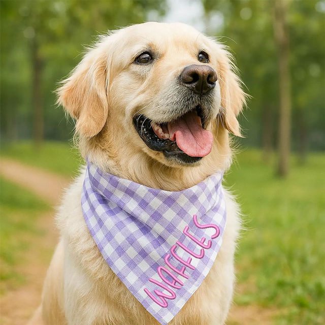 Picture of Custom Embroidered Pet Elastic Band Bandana - Personalized Bib for Weight Under 15kg Dog and Cat