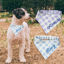 Picture of Custom Embroidered Pet Elastic Band Bandana - Personalized Bib for Weight Under 15kg Dog and Cat