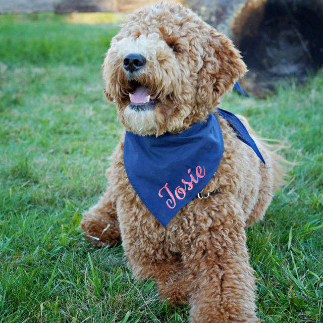Picture of Custom Embroidered Pet Bandana - Personalized Bib for Dog and Cat with Embroidered Name
