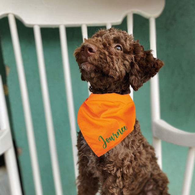 Picture of Custom Embroidered Pet Bandana - Personalized Bib for Dog and Cat with Embroidered Name