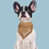 Picture of Custom Embroidered Pet Bandana - Personalized Bib for Dog and Cat with Embroidered Name