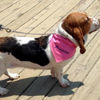 Picture of Custom Embroidered Pet Bandana - Personalized Bib for Dog and Cat with Embroidered Name